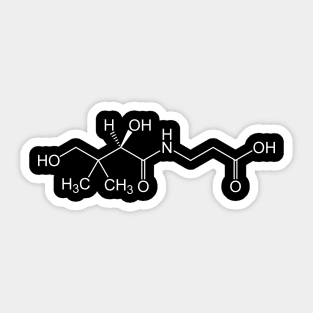 Vitamin B5 Pantothenic Acid C9H17NO5 Sticker